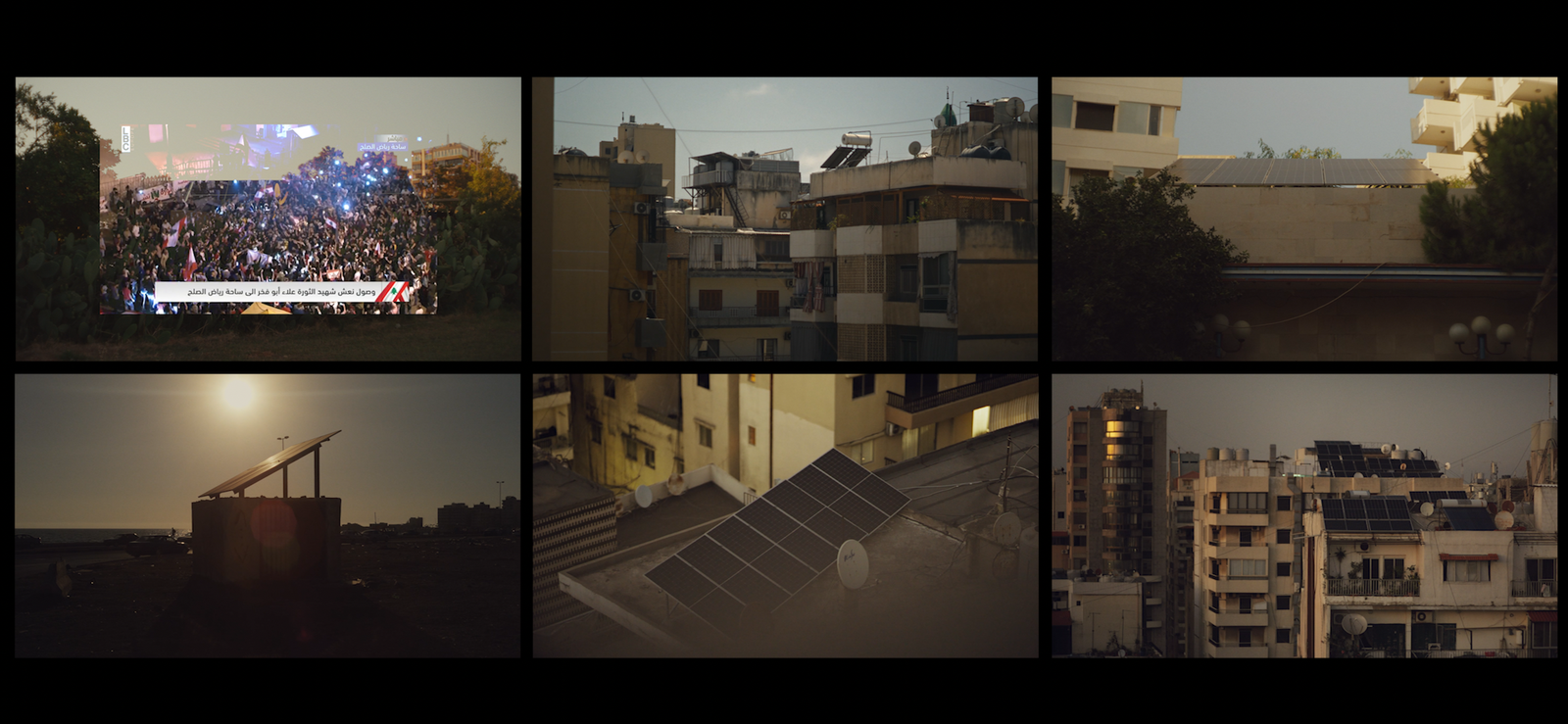 Mutable Cycles II (2024)